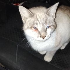 ����: ������� �����  ������� ��� ����� � �. �����