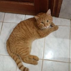 ����: ������� ����� ����������� ��������������� ������� ��� ��� � �. ���