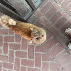 ����: ������� �����  ������� ��� ������ (����-���)� � �. ������ (����-���)