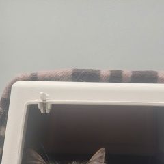 ����: ������� �����  �������� ����� ������� � �. �������