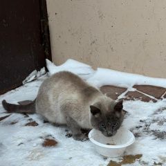 ����: ������� ����� ������� ����� �������-��-���� ������ ��� ���������� � �. ������-��-����