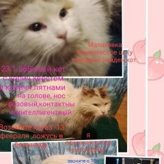 ����: ������� �����  ���������� ������ ��� ����� ��� �������� �...� � �. ���������