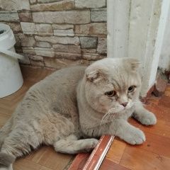 ����: ������� �����  ������� ��� �����-��������� � �. �����-���������