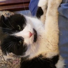 ����: ������� �����  ��������� ������ ��� � �. ��������