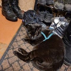 ����: ������� �����  ������� ��� ������� ������ ��� ������� � �. �������