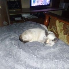 ����: ������� �����  �������� ����� ����� ����� ����� � �. �����