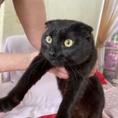 ����: ������� ����� ������� ���� (����������� ���������) ���� ������ ��� ������� ��� � �. ���