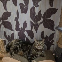 ����: ������� �����  ������� ��� ������ � �. ������