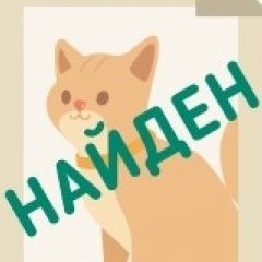 ����: ������� �����  �������� ����� ����������� ���������...� � �. ������