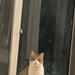 ����: None  ��������� ����� ���������� ������ � �. ���������� �����