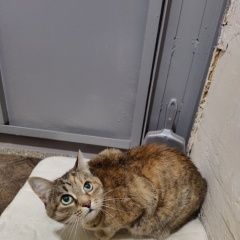 ����: ������� �����  �������� ����� ��. ������������� ������� � �. �������