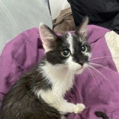 ����: None  ������� �������� ����� ��������� 30� � �. ������