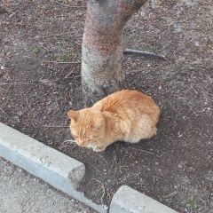 ����: None  ������� �������� ����� � �. ������