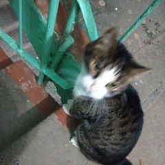 ����: ������� �����  �������� ����� ������ �����, �������� ��� ������...� � �. ������-������