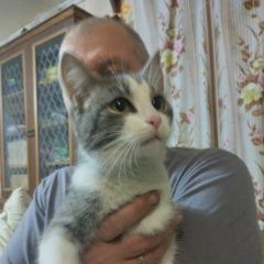 ����: ������� �����  �������� ����� ������� � �. �������