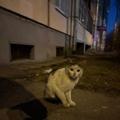 ����: ������� �����  �������� ����� �������� ��� ��������...� � �. �����-���������