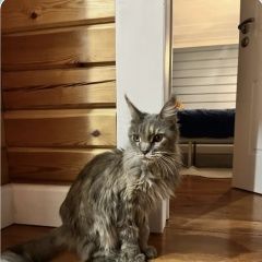 ����: ������� ����� ����-��� �������� ����� � ��� ����������-1 �. ��������...� � �. �������� (������������� ���.)