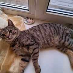 ����: None  ��������� ����� ��������� � �. ���������