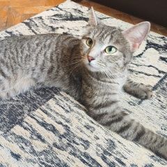 ����: ������� �����  ���������������� (��������.) ������ ��� � �. ��������������� (��������.)