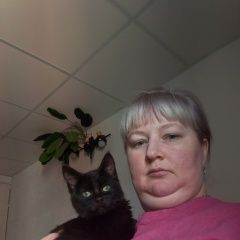 ����: ������� �����  �������� ����� ���������� ��������� ������ � �. ������