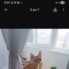 ����: ������� ����� �����-���� �������� ����� ��� ��� �� ������ ������� � �. �������