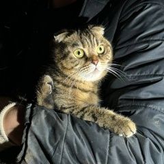 ����: ������� �����  �������� ����� � ���. �������� �� ������ � �. ������