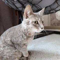 ����: ������� �����  �������� ����� �������� ������ � �. ������