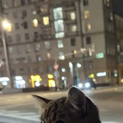 ����: ������� �����  �������� ����� � ������ ��������������� �����...� � �. ������