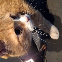 ����: None  ��������� ����� ���� ������ ������ ������ ������� � �. �������