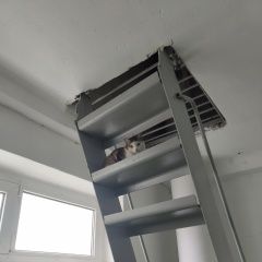 ����: ������� �����  �������� ����� ����-����� � �����-��������� ������� � �. �������