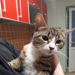 ����: ������� �����  ������� ��� ����� � �. �����