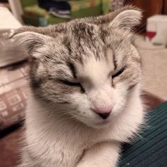 ����: ������� ����� ���������� ��������������� ����� �������� ����� ����� � �. �����