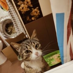����: ������� �����  �������� ����� ���������� � �. ����������