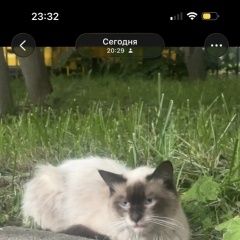 ����: ������� ����� �������� ����� ������� ��� �������� ��� ������ � �. ������