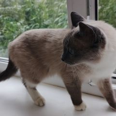 ����: ������� ����� ������� ����� �������� ����� ������ � �. ������