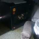 Подробнее об объявлении «Москва Найдена кошка британец серо-голубой» Фото: найдена кошка Британская короткошерстная «Москва Найдена кошка британец серо-голубой» в г. Москва