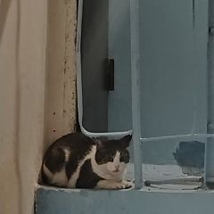 ����: ������� �����  ������������ ������� ����� ����� �����/����, �...� � �. �����������