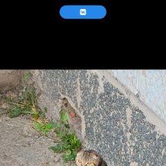 ����: None ���������� ��������������� ����� ��������� ����� ������� �������� ��������� � �. ���������