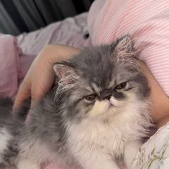 ����: ������� ����� ���������� ����� �������� ����� ���� ����� ��� ������ � �. ������