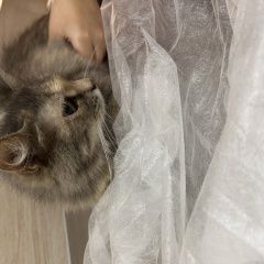 ����: ������� �����  ���������� ������� ����� ���������� � �. ���������