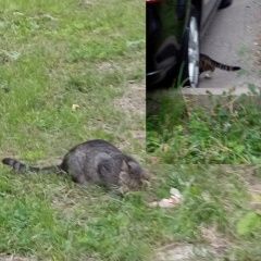 ����: ������� �����  �������� ����� �������� ������ � �. ������