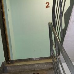Подробнее об объявлении «Найдена кошка Москва» Фото: найдена кошка  «Найдена кошка Москва» в г. Москва