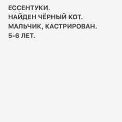 Подробнее об объявлении «Ессентуки Найден кот чёрный кот ул. малая садовая» Фото: найдена кошка  «Ессентуки Найден кот чёрный кот ул. малая садовая» в г. Ессентуки