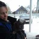 Подробнее об объявлении «Найден кот серый, дымчатый Дмитров» Фото: найдена кошка  «Найден кот серый, дымчатый Дмитров» в г. Дмитров