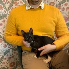 Подробнее об объявлении «Москва Найдена кошка котенок 4-5 месяцев» Фото: найдена кошка  «Москва Найдена кошка котенок 4-5 месяцев» в г. Москва