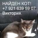 Подробнее об объявлении «Санкт-Петербург Найден кот» Фото: найдена кошка  «Санкт-Петербург Найден кот» в г. Санкт-Петербург