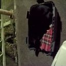 Подробнее об объявлении «Санкт-Петербург Найдена кошка черный кот на омской ул.» Фото: найдена кошка  «Санкт-Петербург Найдена кошка черный кот на...» в г. Санкт-Петербург