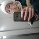 Подробнее об объявлении «Москва Найден кот в воротнике выхино» Фото: найдена кошка  «Москва Найден кот в воротнике выхино» в г. Москва