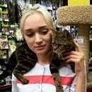 Подробнее об объявлении «Новосибирск Найдена кошка 30 июля 2017» Фото: найдена кошка  «Новосибирск Найдена кошка 30 июля 2017» в г. Новосибирск