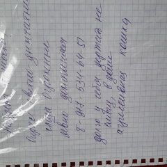 Подробнее об объявлении «Москва Найдена кошка» Фото: найдена кошка  «Москва Найдена кошка» в г. Москва